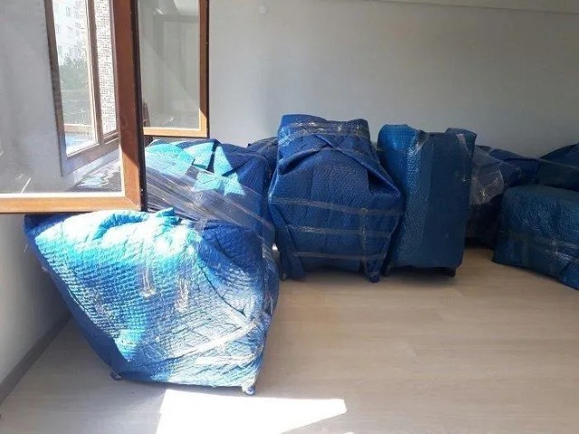 Evden Eve Taşıma Sırasında Evcil Hayvanlar