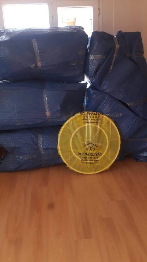 Ev Taşınma Sürecinizde Evcil Hayvanlarınıza Nasıl Davranmalısınız?