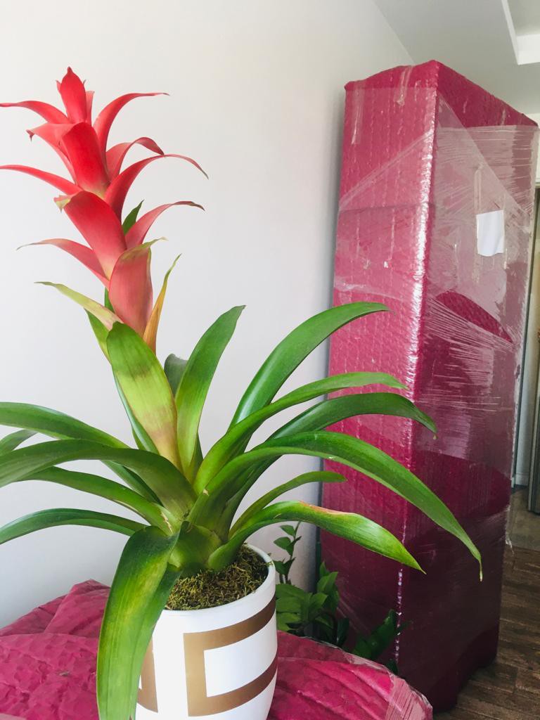 Koltuk, Buzdolabı, Çamaşır Makinesi Gibi Tek Parça Eşyalar Nasıl Taşınır?